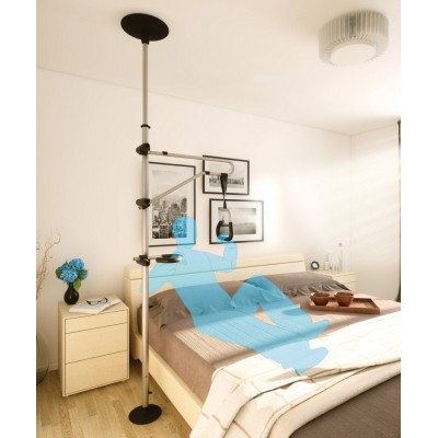 Grijppaal / papegaai Gripo